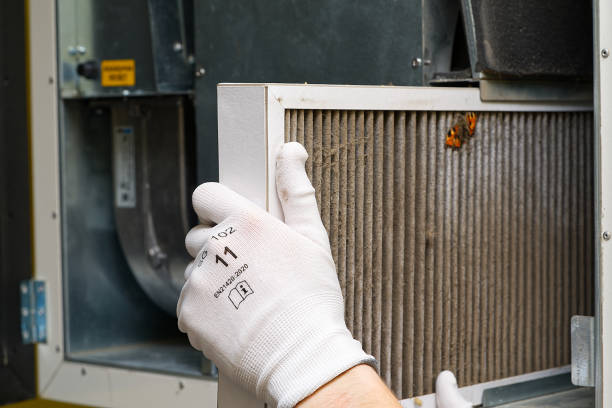 Best Local Air Duct Cleaning Services  in Nellis Af, NV