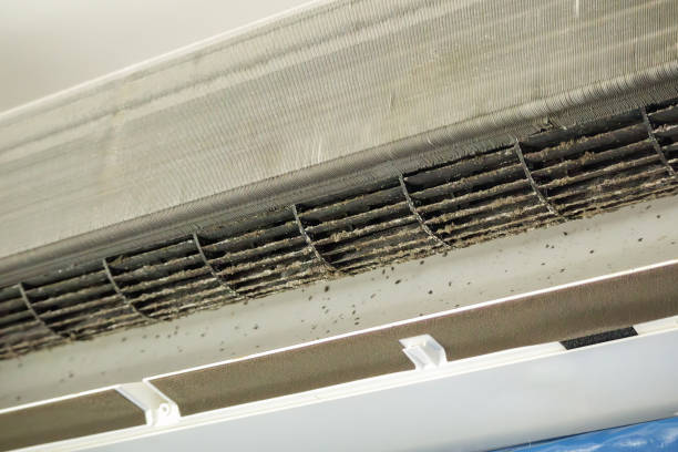Best Best Air Duct Cleaning Company  in Nellis Af, NV